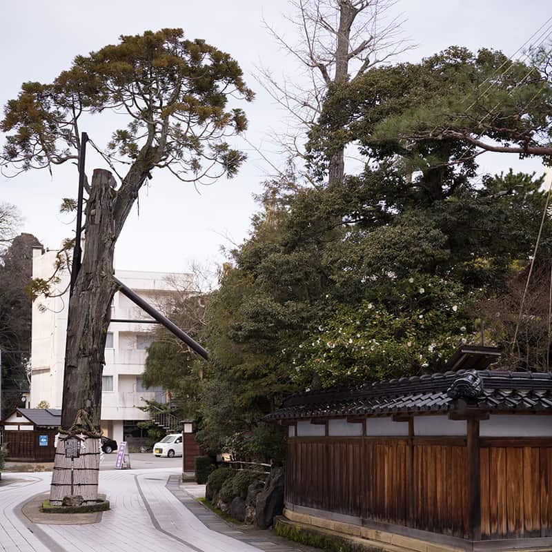 粟津温泉黄門すぎ