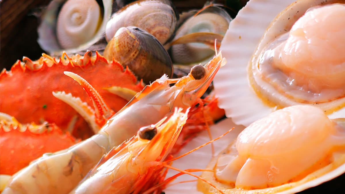 湯けむり源泉蒸し