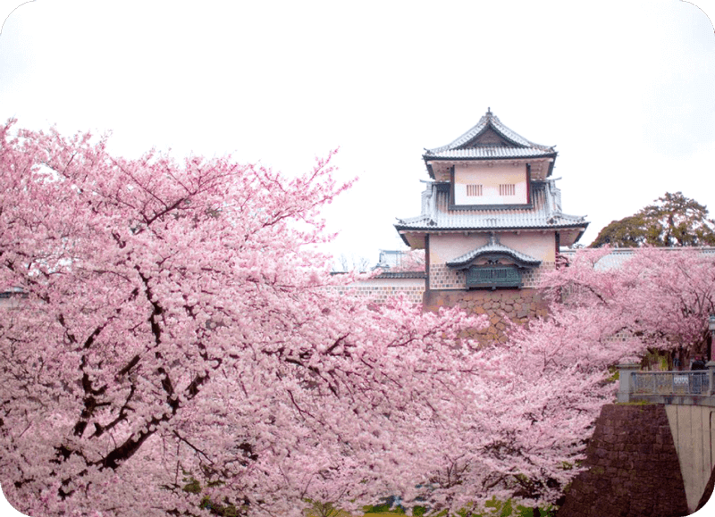 兼六園