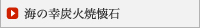 海の幸炭火焼懐石
