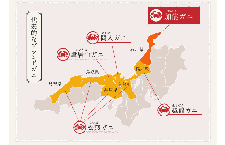 金沢老舗旅館のとや│金沢を彩る│第3回　北陸冬の味「加能ガニ」を知る　ブランドガニマップ