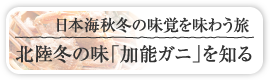 日本海秋冬の味覚を味わう旅  北陸冬の味「加能ガニ」を知る