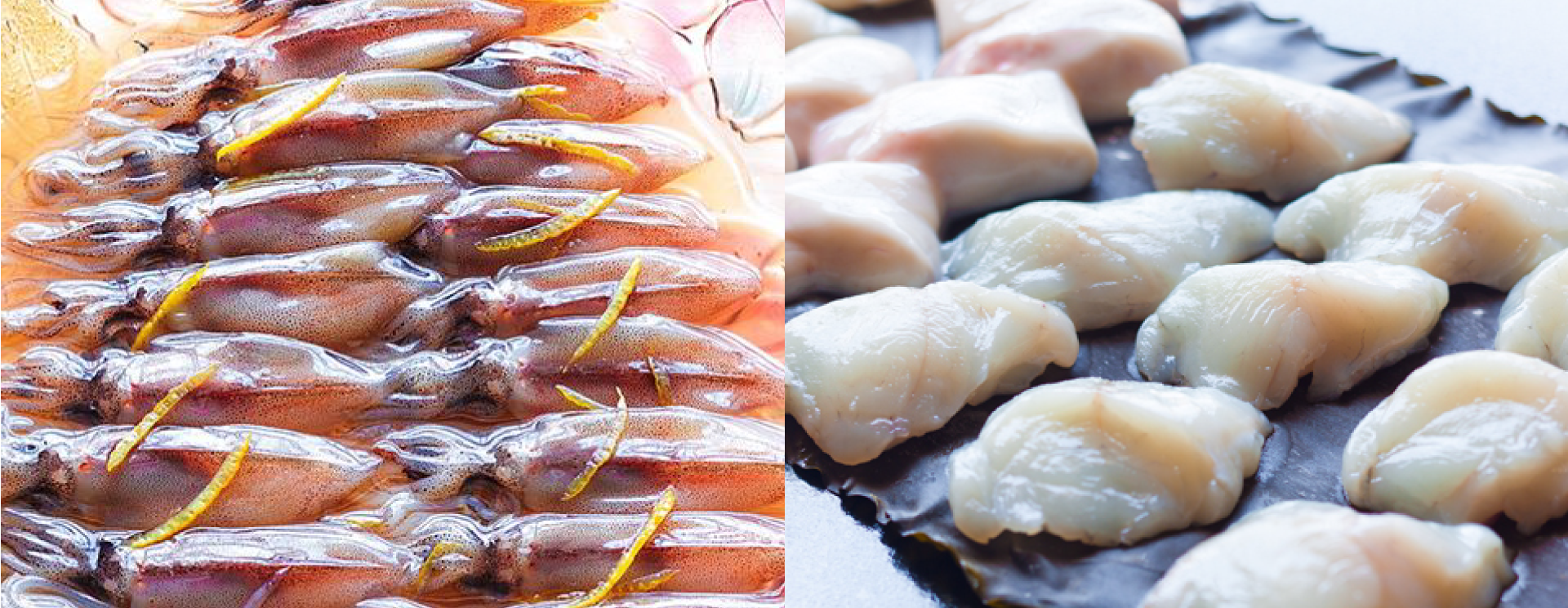 のとやの一品料理。ホタルイカ、新鮮食材。