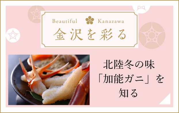 金沢を彩る 北陸冬の味「加能ガニ」を知る