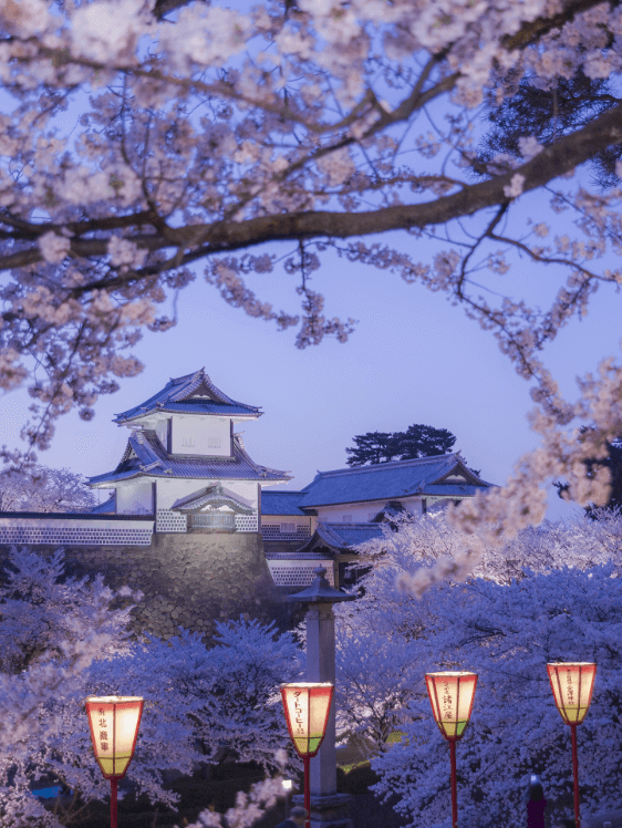 金沢城・兼六園・近江町市場