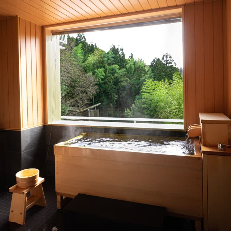 �q���I�V���C