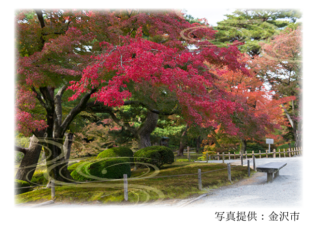 兼六園の紅葉 金沢 旅館のとやが提案する金沢観光旅行 金沢を彩る