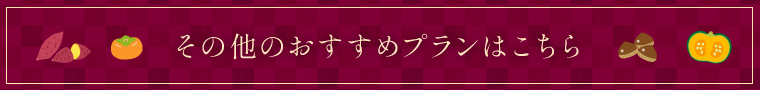その他のおすすめプランはこちら