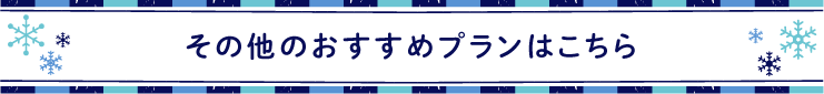 その他のおすすめプランはこちら