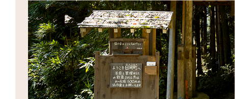 苔の里