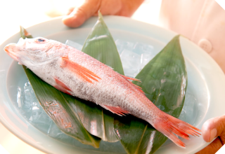 この冬から春にかけて是非食べていただきたい『のどぐろ』