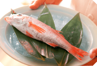 金沢・のどぐろの魅力とは？美味しさの秘密とおすすめの食べ方