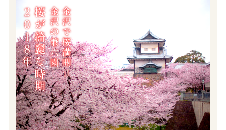 金沢老舗旅館のとや│金沢を彩る│兼六園 桜が綺麗な時期2018年