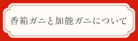 香箱ガニと加能ガニについて