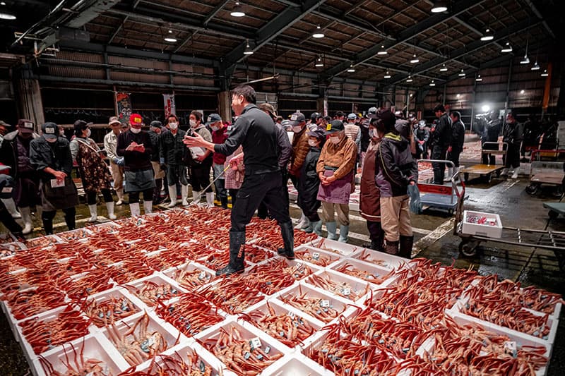 橋立漁港に並ぶ「加能ガニ」