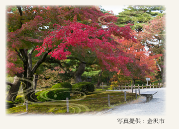 金沢老舗旅館のとや│金沢を彩る│第9回 兼六園の秋「紅葉」